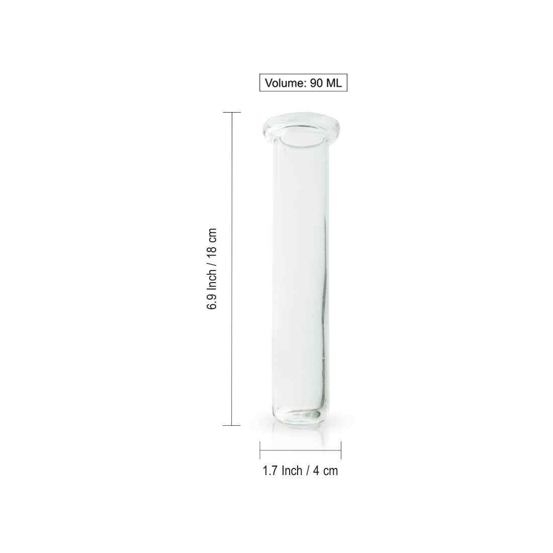 Modern Glass Garden' Test Tube Table Planter/Vase (25.4 cm | Red)