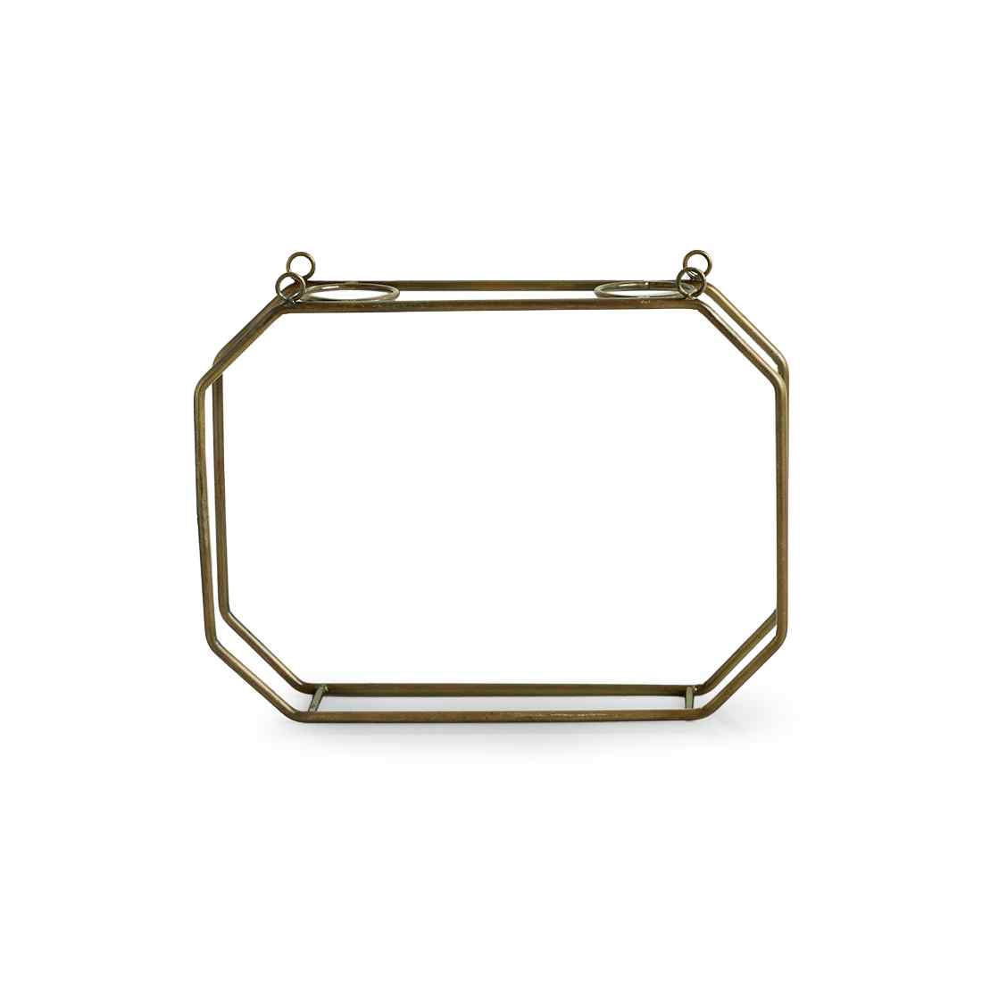 Modern Glass Garden' Test Tube Wall Planter/Vases (17.8 cm | Golden)